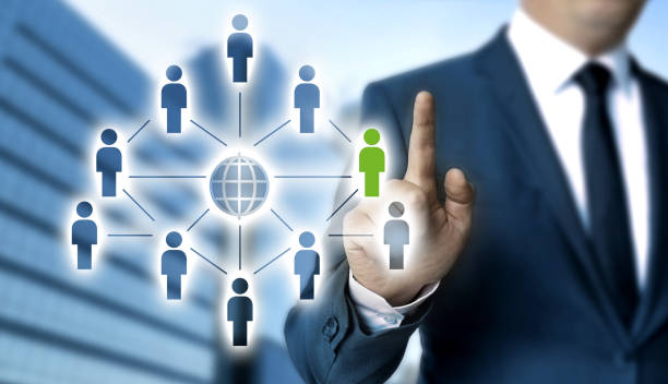 MLM Software Pricing